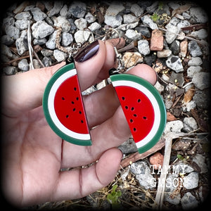 Watermelon earrings Fruit earrings Kitsch earrings Retro earrings Tunnels MCM jewelry Vegan Pierced ears Gauges Retro jewelry Fruit salad Gifts for vegans Novelty earrings Red earrings Bright earrings Colourful earrings Retro jewelry Kitsch jewelry