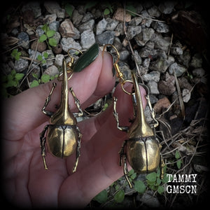 These gorgeous brass Hercules beetle earrings are big and beautiful! Weighing approx 19 grams each, this pair measures 7cms from tip to tip.

This pair has been made on antique gold french hooks, suitable for pierced ears.