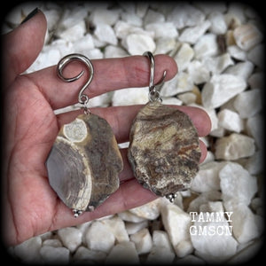 This pair of gorgeous gauged earrings features unique petrified wood slices, weighing in at approx 23 grams a piece, and are nice and dangly at just on 8cms from tip to tip.

This pair has been made on 6 gauge (4mm) surgical steel full curl hooks, to be worn in stretched lobes.
