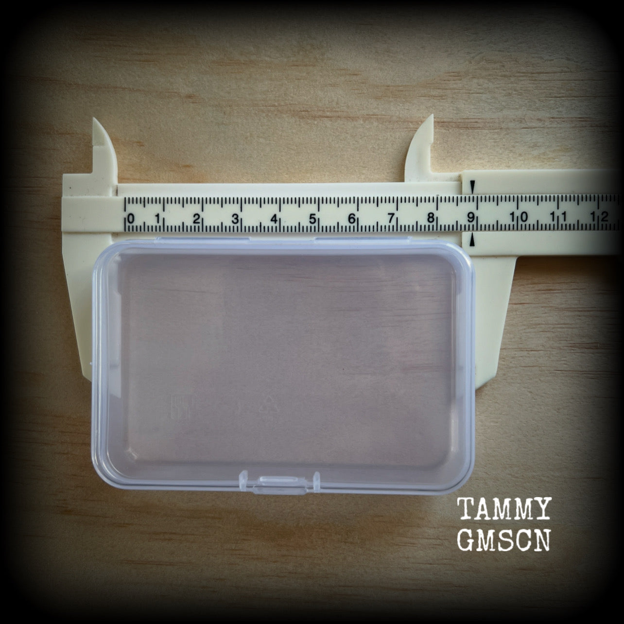 Jewelry storage containers-REGULAR-Travel case for earrings and ear weights