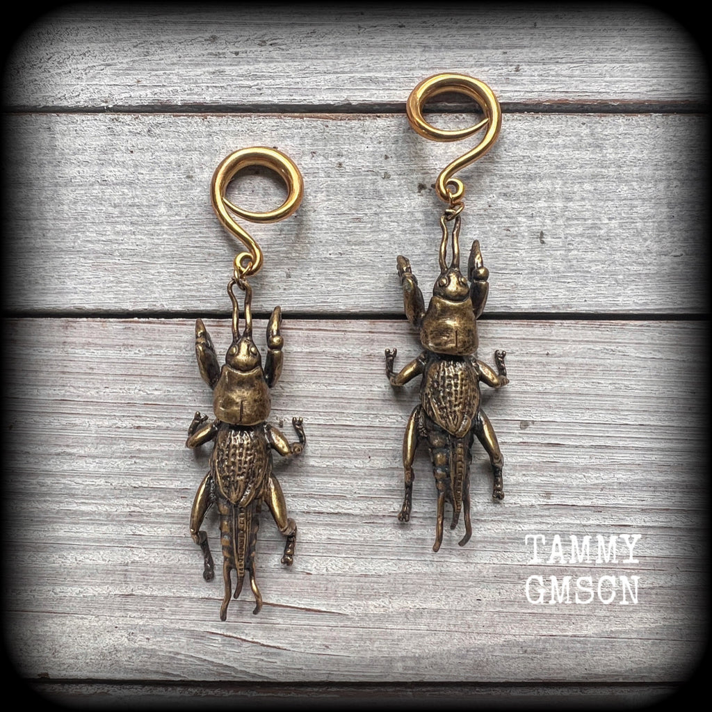 Brass ear hangers Mole cricket gauged earrings Insect ear weights 6 gauge ear weights Gauges 2g 0g 00g 1/2 9/16 5/8 3/4" 7/8 1” 4mm 6mm 8mm 10mm 12mm 14mm 16mm 19mm 22mm 25mm 28mm 30mm Gauged earrings Gauged ears Cottagecore Forestcore Forestpunk