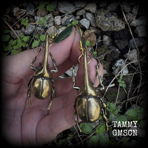 These gorgeous brass Hercules beetle earrings are big and beautiful! Weighing approx 19 grams each, this pair measures 7cms from tip to tip.

This pair has been made on antique gold french hooks, suitable for pierced ears.