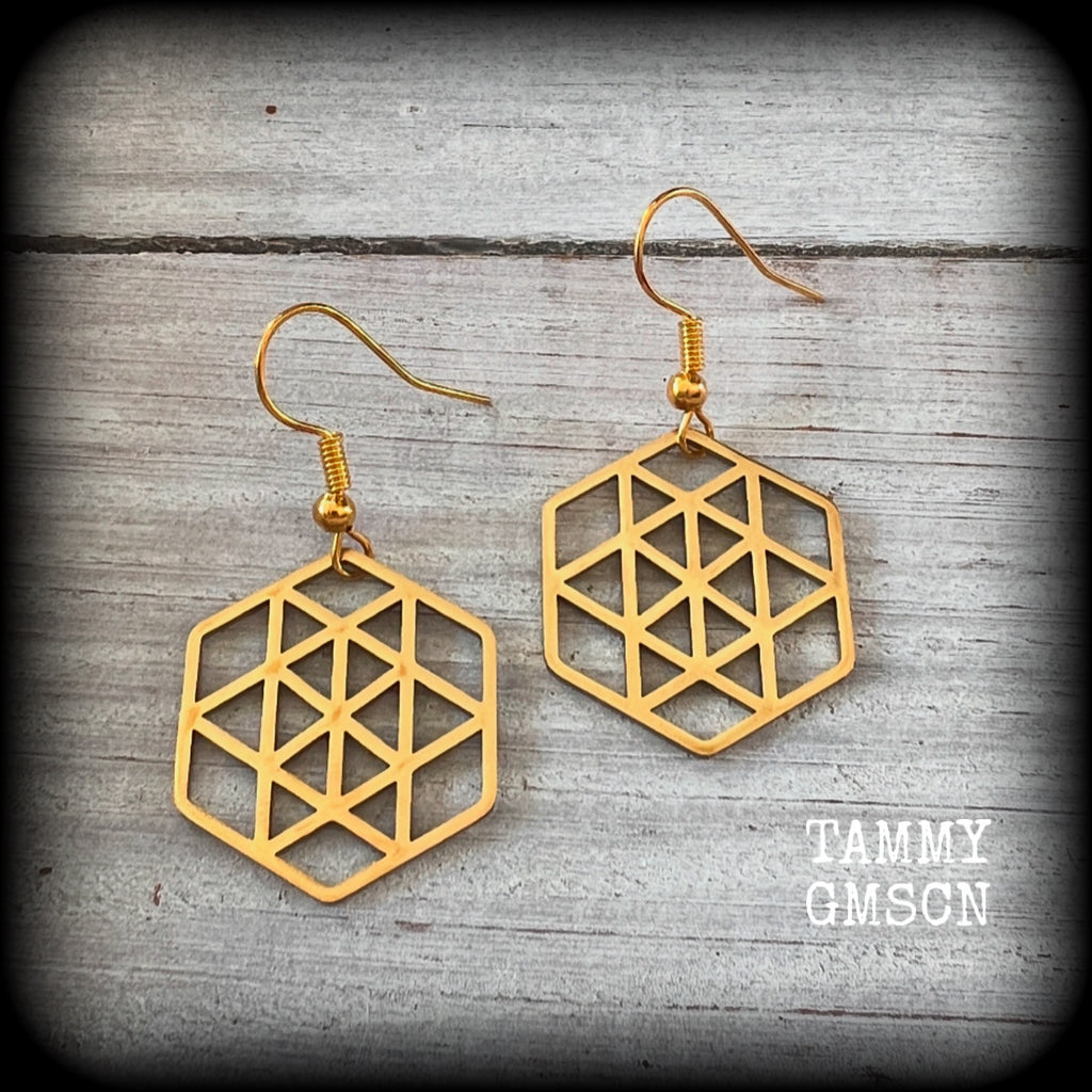 These gorgeous geometric earrings feature beautiful minimalist stainless steel hexagon pendants, measuring approx 5cms from tip to tip and weighing only a gram or two each, nice and light weight.

This pair have been made on antique gold french hooks, suitable for pierced ears.