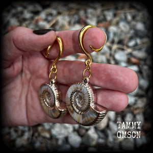 These gauged earrings feature gorgeous acrylic nautilus sea shells, super lightweight- weighing 9 grams each, and nice and dangly, measuring just under 7cms from tip to tip.
These beautiful earrings have been made on 6 gauge (4mm) surgical steel full curl hooks, to be worn in stretched lobes.