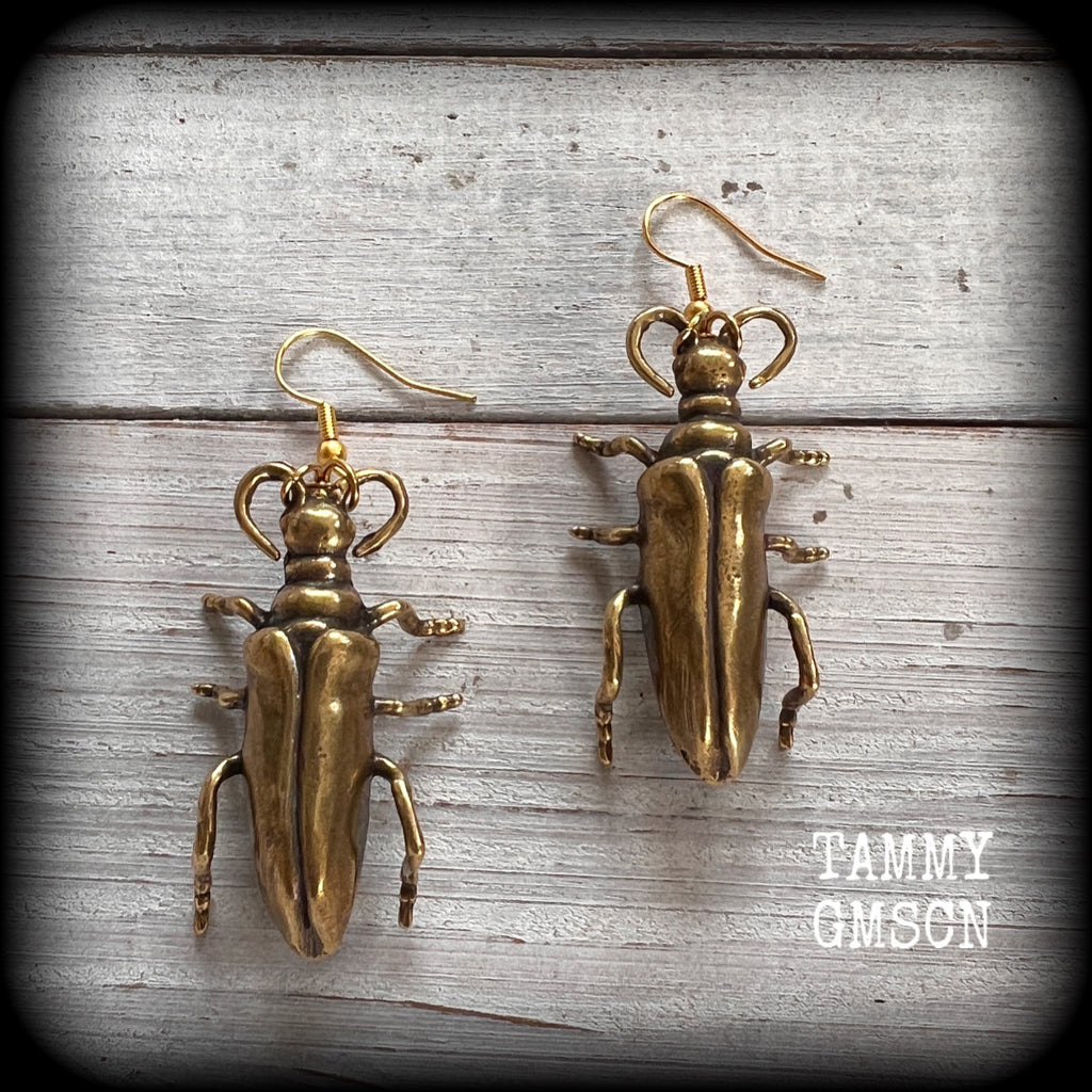 Brass Beetle earrings Bugs earrings Brown beetle earrings Insects earrings Insect earrings Arthropod earrings Pierced ears Stretched lobes Ear gauges Gauged earrings Cottagecoge Fairycore Mossgoth Whimsigoth Brown recluse Curiosities Entomology