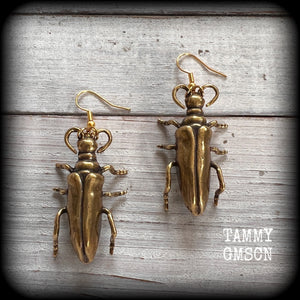 Brass Beetle earrings Bugs earrings Brown beetle earrings Insects earrings Insect earrings Arthropod earrings Pierced ears Stretched lobes Ear gauges Gauged earrings Cottagecoge Fairycore Mossgoth Whimsigoth Brown recluse Curiosities Entomology