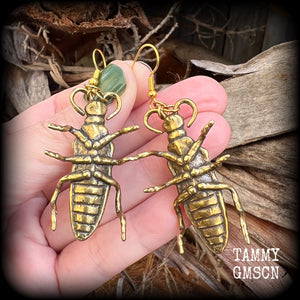 Brass Beetle earrings Bugs earrings Brown beetle earrings Insects earrings Insect earrings Arthropod earrings Pierced ears Stretched lobes Ear gauges Gauged earrings Cottagecoge Fairycore Mossgoth Whimsigoth Brown recluse Curiosities Entomology