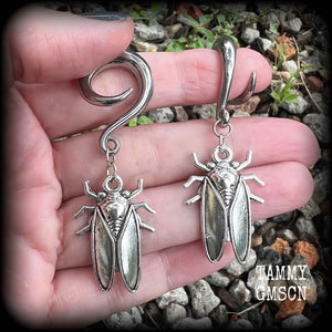 Insect gauged earrings 