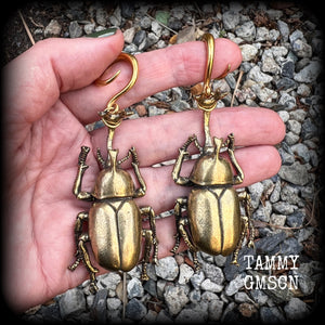 Brass beetle ear hangers Insect ear weights Rhinoceros beetle ear weights Elephant beetle 6mm 8mm 10mm 12mm 14mm 16mm 19mm 22mm 25mm 28mm 30mm Stretched ears Stretched lobes Insect earrings Bugs earrings Cottagecore earrings Fairycore earring
