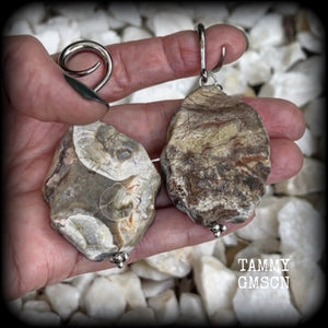 This pair of gorgeous gauged earrings features unique petrified wood slices, weighing in at approx 23 grams a piece, and are nice and dangly at just on 8cms from tip to tip.

This pair has been made on 6 gauge (4mm) surgical steel full curl hooks, to be worn in stretched lobes.
