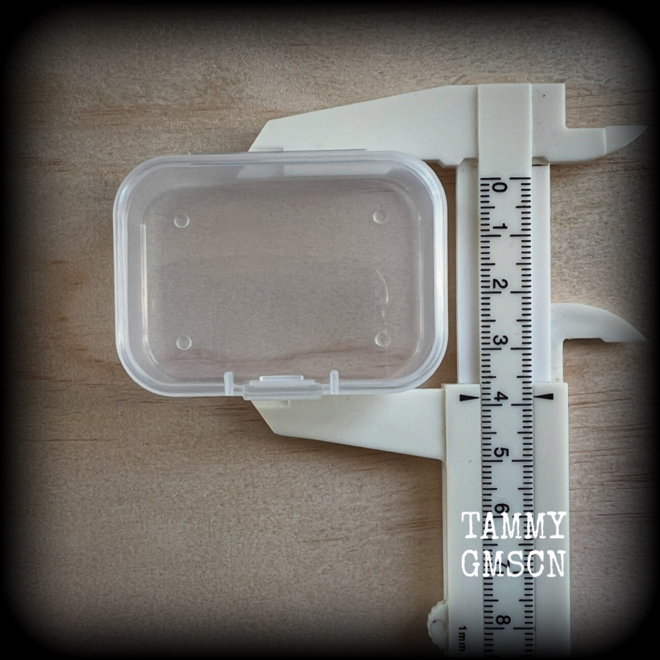 Jewelry storage containers-SMALL-Travel case for earrings and ear weights