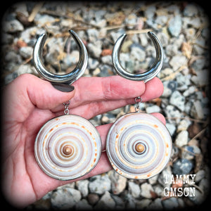 These gauged earrings feature beautiful big Giant sundail sea snail shells weighing in at 25 grams a piece, and nice and dangly at just over 10cms from tip to tip. 
This pair has been made on 1.18” gauge (30mm) surgical steel cradles