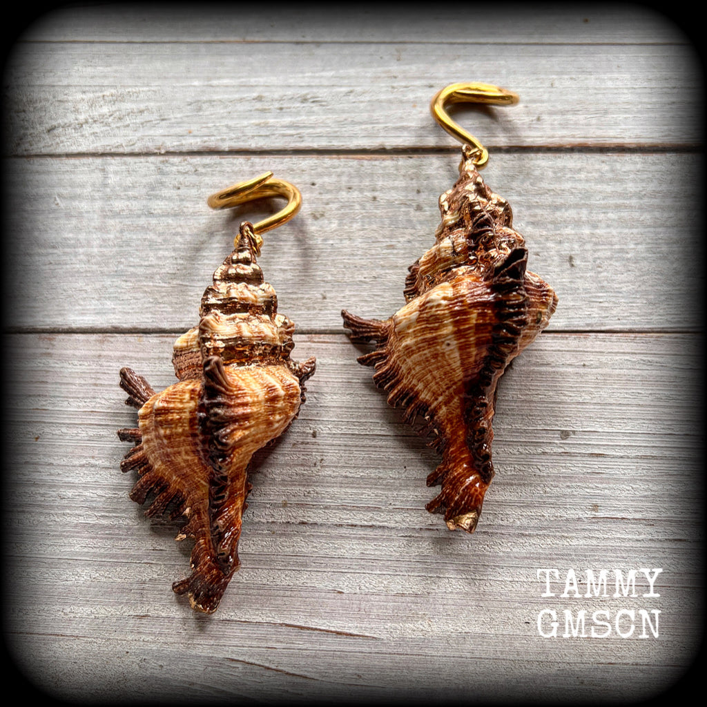 Conch shell body jewelry Shell ear gauges Shell tunnels Shell tunnel dangles Boho jewelry Gypsy boho jewellery Shell ear weights 6 gauge 2 gauge 0 gauge 00 gauge Stretched ears Stretched lobes Gauged ears 12mm 14mm 16mm 19mm 22mm 25mm 28mm 30mm 