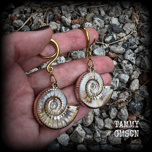 These gauged earrings feature gorgeous acrylic nautilus sea shells, super lightweight- weighing 9 grams each, and nice and dangly, measuring just under 7cms from tip to tip.
These beautiful earrings have been made on 6 gauge (4mm) surgical steel full curl hooks, to be worn in stretched lobes.