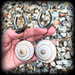 These gauged earrings feature beautiful big Giant sundail sea snail shells weighing in at 25 grams a piece, and nice and dangly at just over 10cms from tip to tip. 
This pair has been made on 1.18” gauge (30mm) surgical steel cradles