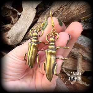 Brass Beetle earrings Bugs earrings Brown beetle earrings Insects earrings Insect earrings Arthropod earrings Pierced ears Stretched lobes Ear gauges Gauged earrings Cottagecoge Fairycore Mossgoth Whimsigoth Brown recluse Curiosities Entomology