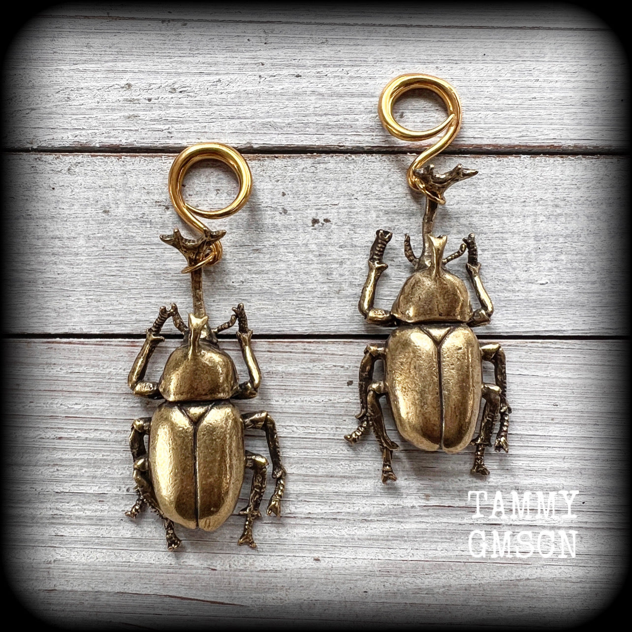 Brass beetle ear hangers Insect ear weights Rhinoceros beetle ear weights Elephant beetle 6mm 8mm 10mm 12mm 14mm 16mm 19mm 22mm 25mm 28mm 30mm Stretched ears Stretched lobes Insect earrings Bugs earrings Cottagecore earrings Fairycore earring
