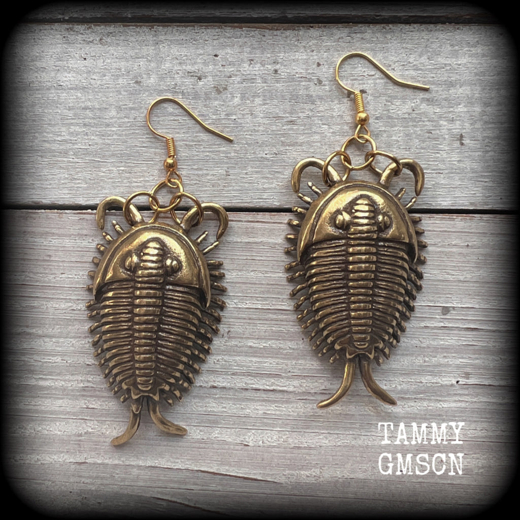 Trilobite fossil earrings Anthropod earrings Bugs earrings Locust earrings Insect earrings Fossil jewellery Pierced ears Bugs jewelry Gauges Ordovician fossils Crustaceans Spiders Horseshoe crabs Woodlice