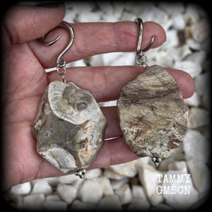 This pair of gorgeous gauged earrings features unique petrified wood slices, weighing in at approx 23 grams a piece, and are nice and dangly at just on 8cms from tip to tip.

This pair has been made on 6 gauge (4mm) surgical steel full curl hooks, to be worn in stretched lobes.
