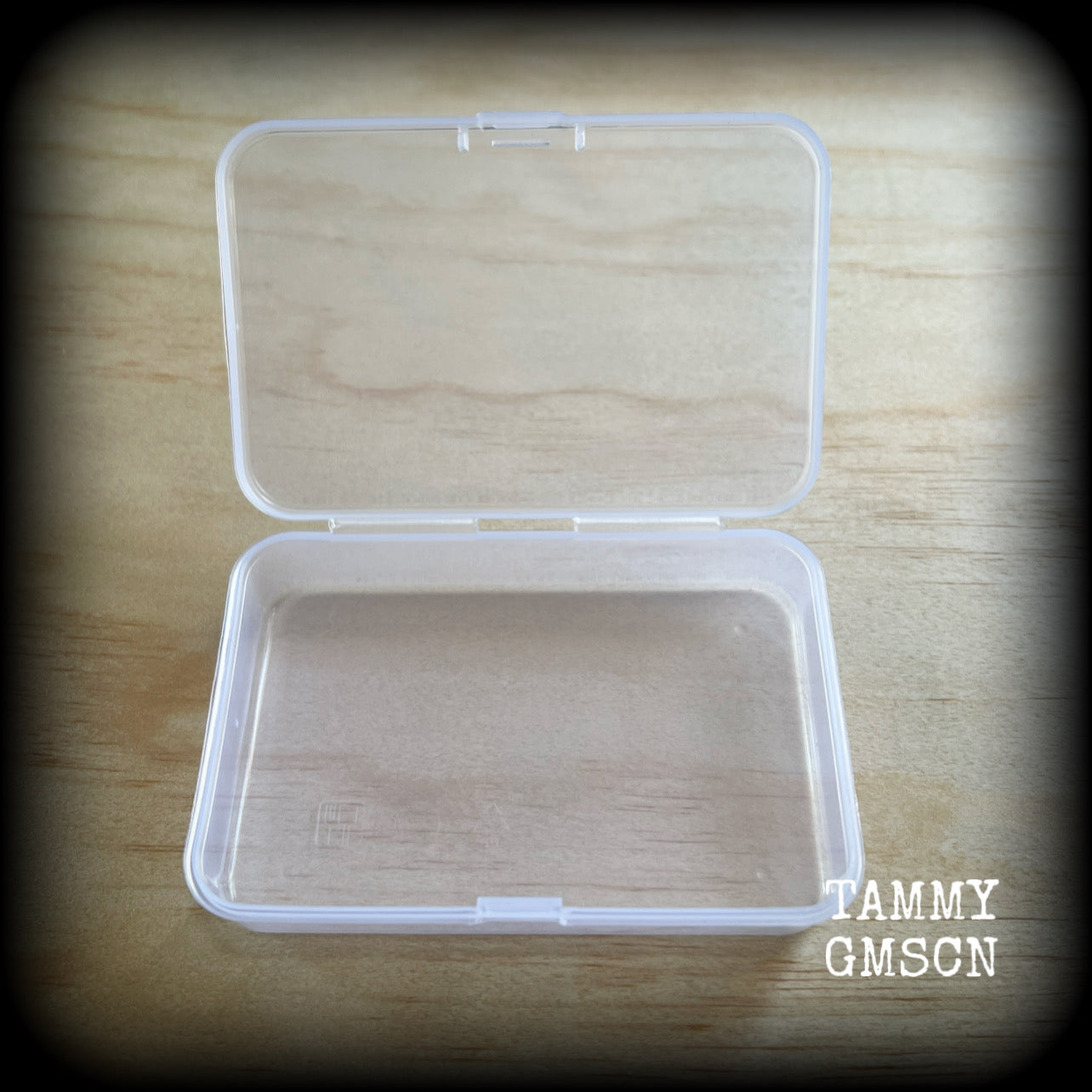 Jewelry storage containers-REGULAR-Travel case for earrings and ear weights