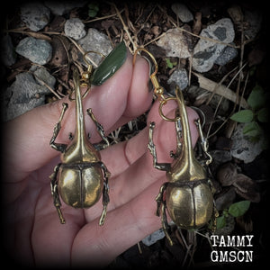 These gorgeous brass Hercules beetle earrings are big and beautiful! Weighing approx 19 grams each, this pair measures 7cms from tip to tip.

This pair has been made on antique gold french hooks, suitable for pierced ears.
