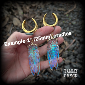 These big beautiful quartz cicada gauged earrings feature gorgeous shimmering quartz and antique gold cicadas, nice and dangly, measuring just over 11cms from tip to tip, and weighing approx 30 grams each.
This pair has been made on 1” gauge (25mm) surgical steel cradles, to be worn in stretched lobes.