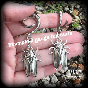 2 gauge ear weights