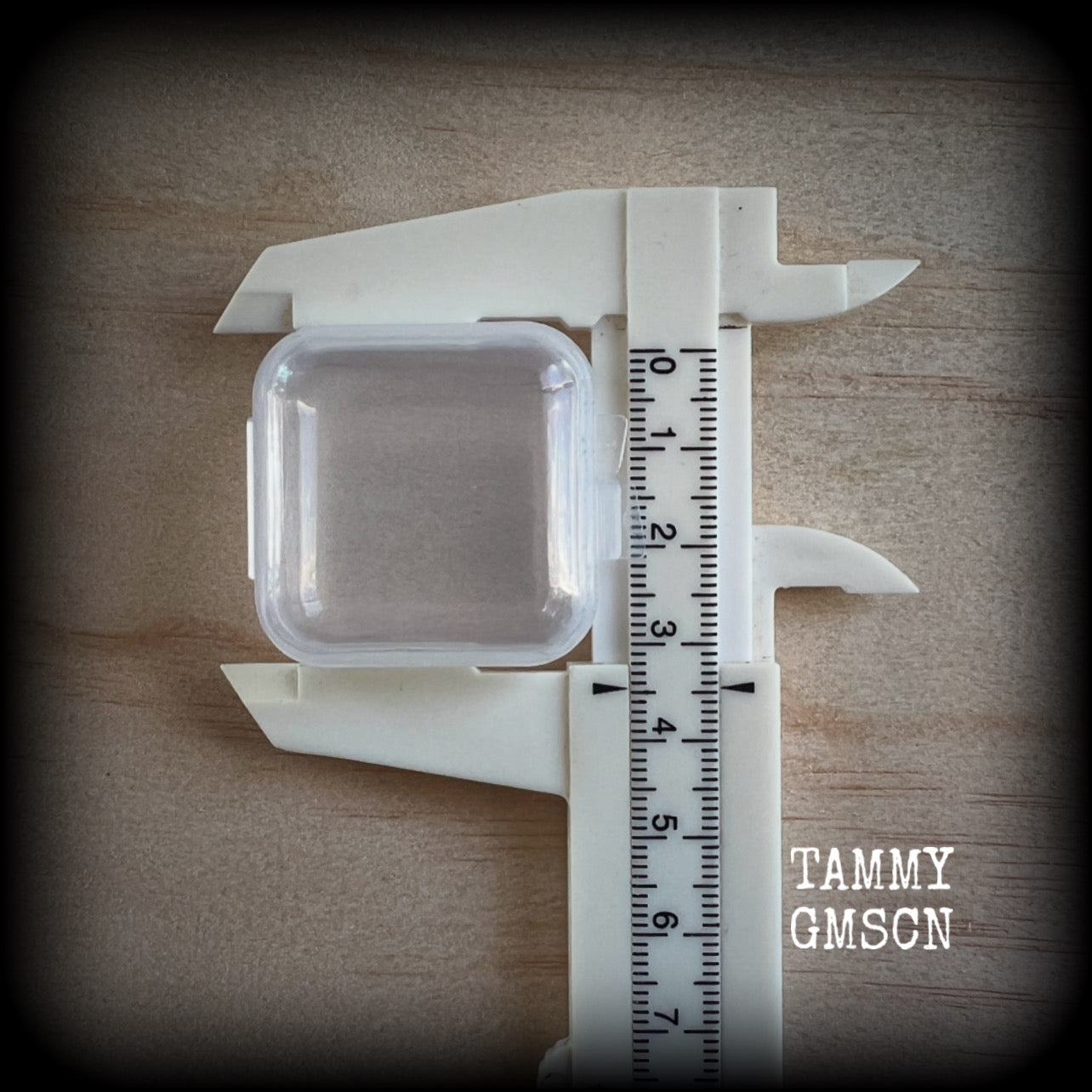 Jewelry storage containers-EXTRA SMALL-Travel case for earrings and ear weights