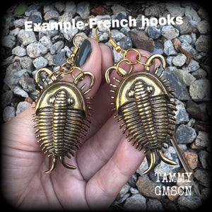 Trilobite fossil earrings Anthropod earrings Bugs earrings Locust earrings Insect earrings Fossil jewellery Pierced ears Bugs jewelry Gauges Ordovician fossils Crustaceans Spiders Horseshoe crabs Woodlice