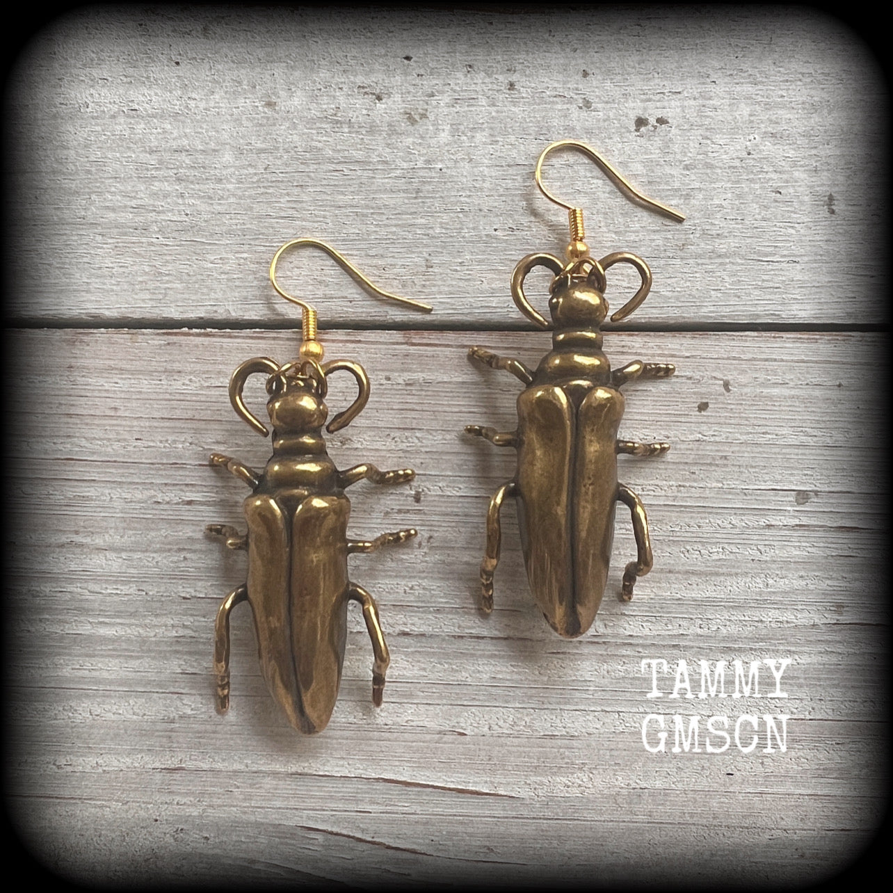 Brass Beetle earrings Bugs earrings Brown beetle earrings Insects earrings Insect earrings Arthropod earrings Pierced ears Stretched lobes Ear gauges Gauged earrings Cottagecoge Fairycore Mossgoth Whimsigoth Brown recluse Curiosities Entomology