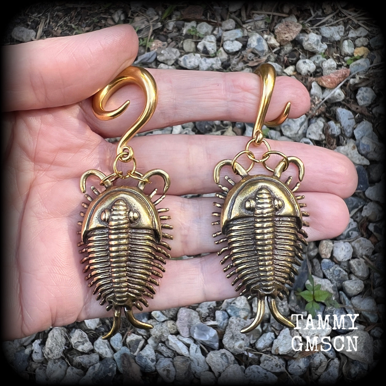 Trilobite ear weights Fossil ear weights Brass ear weights 0 gauge ear weights Gauged earrings Beetles Insect ear weights Trilobite beetle fossils Gauged ears Stretched ears Stretched lobes 4mm 6mm 8mm 10mm 12mm 14mm 16mm 19mm 22mm 25mm 28mm 30mm 