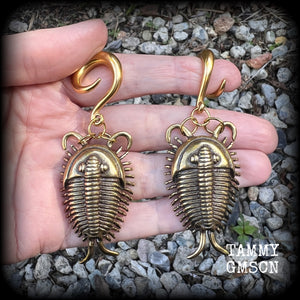 Trilobite ear weights Fossil ear weights Brass ear weights 0 gauge ear weights Gauged earrings Beetles Insect ear weights Trilobite beetle fossils Gauged ears Stretched ears Stretched lobes 4mm 6mm 8mm 10mm 12mm 14mm 16mm 19mm 22mm 25mm 28mm 30mm 