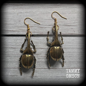 These gorgeous brass Hercules beetle earrings are big and beautiful! Weighing approx 19 grams each, this pair measures 7cms from tip to tip.

This pair has been made on antique gold french hooks, suitable for pierced ears.