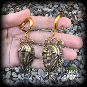 Trilobite ear weights Fossil ear weights Brass ear weights 0 gauge ear weights Gauged earrings 6g 2g 0g 00g 1/2” 9/16” 5/8” 3/4” 7/8” 1” 1.18 Beetle earrings Insect ear weights Trilobite beetle fossils
