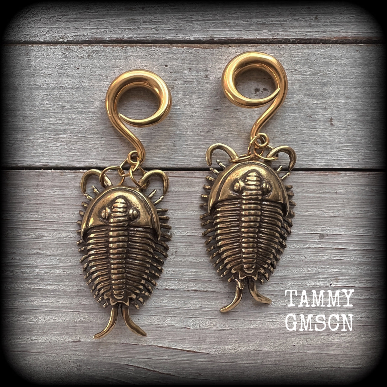 Trilobite ear weights Fossil ear weights Brass ear weights 0 gauge ear weights Gauged earrings Beetles Insect ear weights Trilobite beetle fossils Gauged ears Stretched ears Stretched lobes 4mm 6mm 8mm 10mm 12mm 14mm 16mm 19mm 22mm 25mm 28mm 30mm 