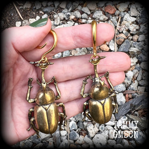 Brass beetle ear hangers Insect ear weights Rhinoceros beetle ear weights Elephant beetle 6mm 8mm 10mm 12mm 14mm 16mm 19mm 22mm 25mm 28mm 30mm Stretched ears Stretched lobes Insect earrings Bugs earrings Cottagecore earrings Fairycore earring
