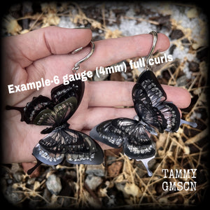 These gorgeous gauged glittery earrings feature beautiful big swallowtail butterflies, super lightweight at just 5 grams a piece, measuring 11cms from tip to tip.

This pair have been made on 6 gauge (4mm) surgical steel full curls, to be worn through stretched lobes.