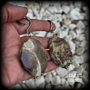 This pair of gorgeous gauged earrings features unique petrified wood slices, weighing in at approx 23 grams a piece, and are nice and dangly at just on 8cms from tip to tip.

This pair has been made on 6 gauge (4mm) surgical steel full curl hooks, to be worn in stretched lobes.
