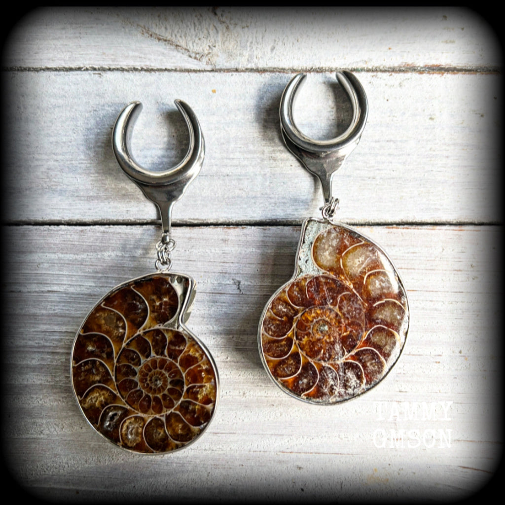 These big beautiful ammonite fossil gauged earrings are gorgeous!! This pair measures just on 9cms from tip to tip, and weigh in at approx 25 grams each.

♥️ IF YOU ORDER THESE EARRINGS YOU RECEIVE THIS EXACT PAIR ♥️

This pair has been made on 3/4" gauge (19mm) surgical steel cradles, suitable for stretched lobes.