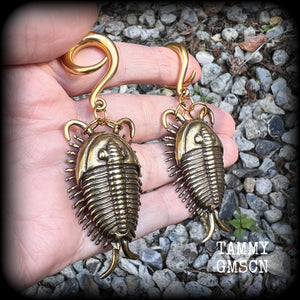 Trilobite ear weights Fossil ear weights Brass ear weights 0 gauge ear weights Gauged earrings 6g 2g 0g 00g 1/2” 9/16” 5/8” 3/4” 7/8” 1” 1.18 Beetle earrings Insect ear weights Trilobite beetle fossils
