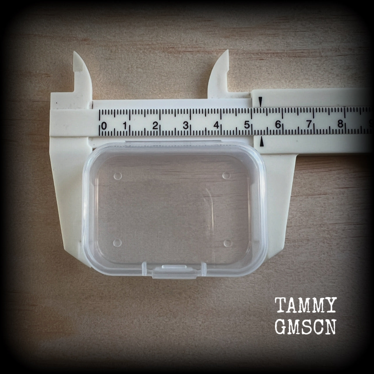 Jewelry storage containers-SMALL-Travel case for earrings and ear weights
