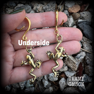 These awesome gauged earrings feature gorgeous brass tree frogs, are nice and dangly, measuring just over 7cms from tip to tip, and weighing approx 5 grams each.  This pair has been made on 6 gauge (4mm) surgical steel full curl hooks, to be worn in stretched lobes.