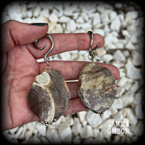 This pair of gorgeous gauged earrings features unique petrified wood slices, weighing in at approx 23 grams a piece, and are nice and dangly at just on 8cms from tip to tip.

This pair has been made on 6 gauge (4mm) surgical steel full curl hooks, to be worn in stretched lobes.
