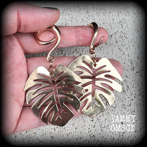 Green goddess jewelry Crazy Plant People Australia CIPPA Plant people Plant jewelry Leaf earrings Plant earrings Leaf gauged earrings Stretched ears Stretched lobes Gauged ears Gauged earrings Tunnel dangles Plugs 6mm 8mm 10mm 12mm 14mm 16mm 19mm 22mm 25mm 28mm 30mm