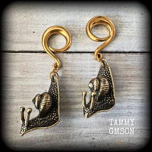 These awesome brass snail ear hangers feature gorgeous brass garden snails, measuring just on 7.5cms from tip to tip, and weighing approx 30 grams each.

This pair has been made on 2 gauge (6mm) surgical steel full curls, suitable for stretched lobes.