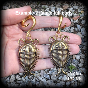 Trilobite ear weights Fossil ear weights Brass ear weights 0 gauge ear weights Gauged earrings 6g 2g 0g 00g 1/2” 9/16” 5/8” 3/4” 7/8” 1” 1.18 Beetle earrings Insect ear weights Trilobite beetle fossils
