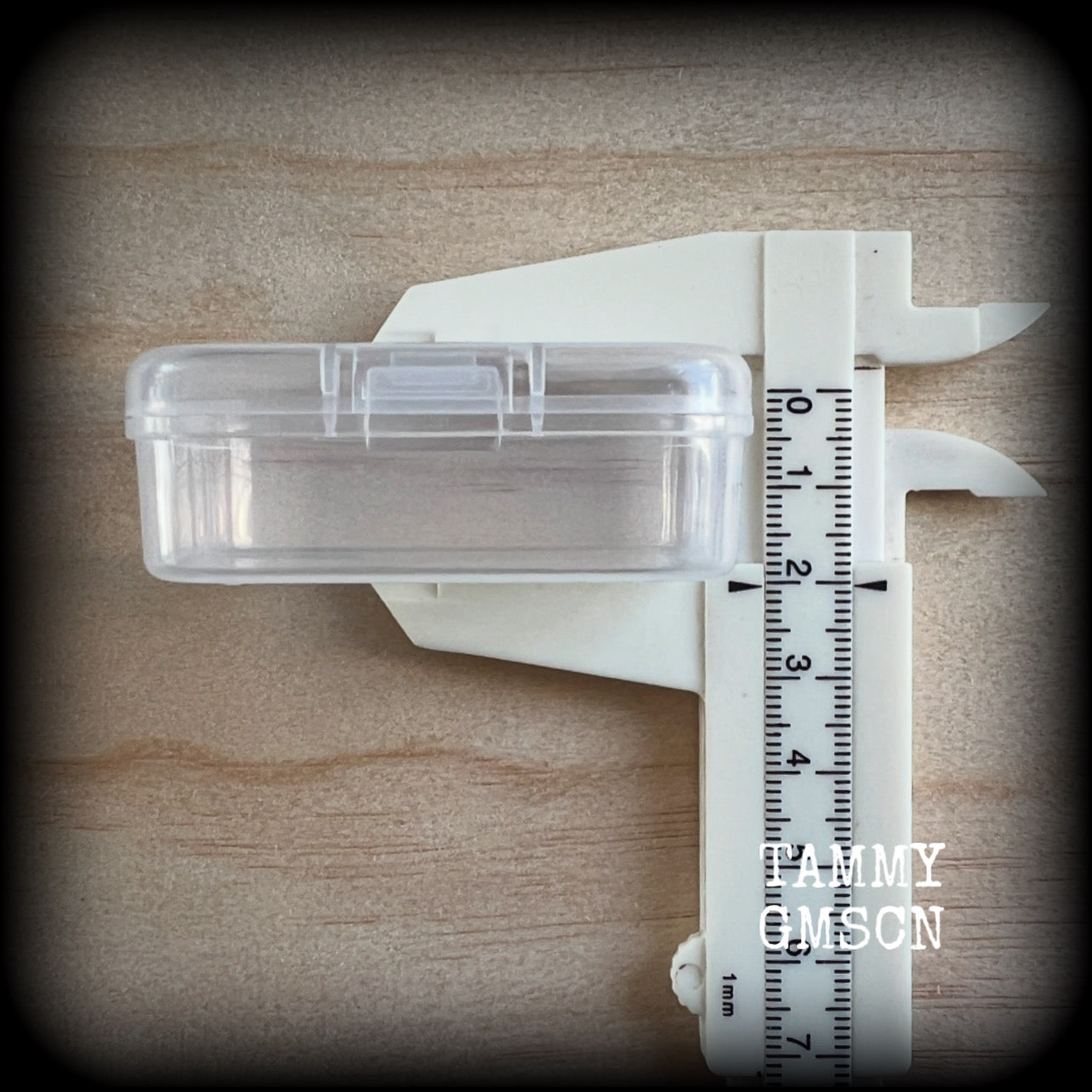 Jewelry storage containers-SMALL-Travel case for earrings and ear weights