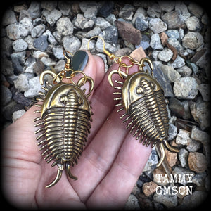 Trilobite fossil earrings Anthropod earrings Bugs earrings Locust earrings Insect earrings Fossil jewellery Pierced ears Bugs jewelry Gauges Ordovician fossils Crustaceans Spiders Horseshoe crabs Woodlice