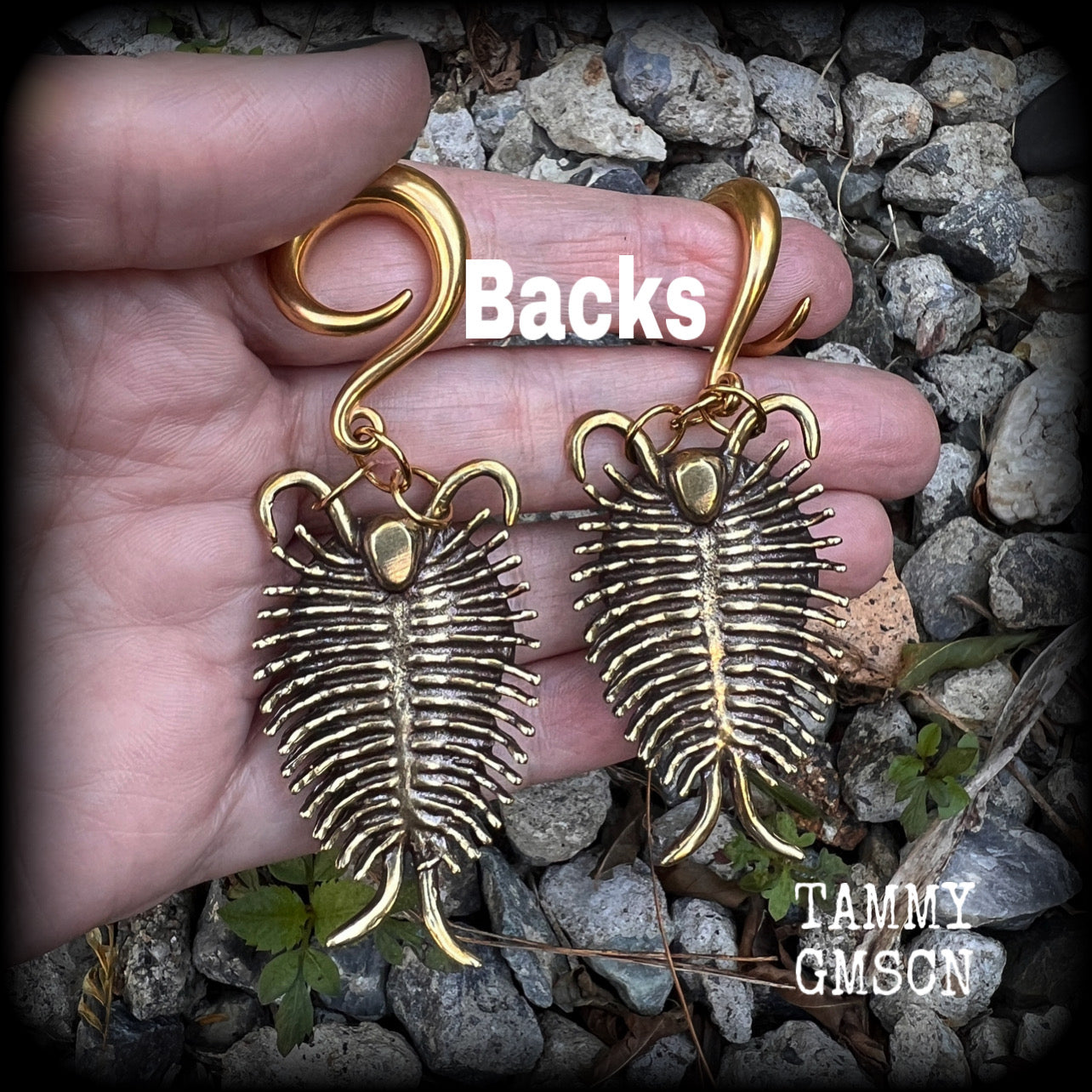 Trilobite ear weights Fossil ear weights Brass ear weights 0 gauge ear weights Gauged earrings 6g 2g 0g 00g 1/2” 9/16” 5/8” 3/4” 7/8” 1” 1.18 Beetle earrings Insect ear weights Trilobite beetle fossils
