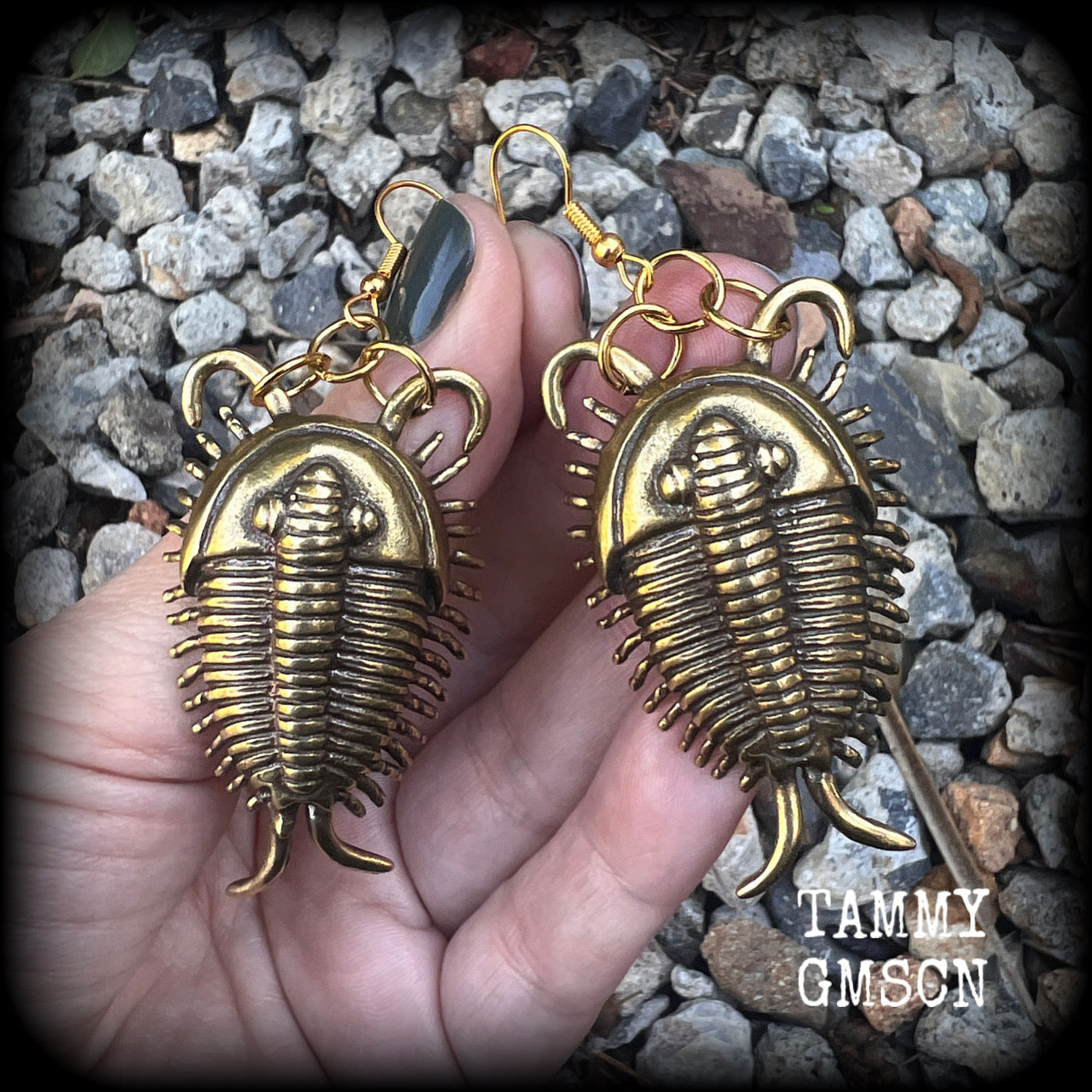 Trilobite fossil earrings Anthropod earrings Bugs earrings Locust earrings Insect earrings Fossil jewellery Pierced ears Bugs jewelry Gauges Ordovician fossils Crustaceans Spiders Horseshoe crabs Woodlice